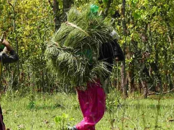 Kunming-Montreal Global Biodiversity Framework will destroy indigenous population, warns Suhas Chakma