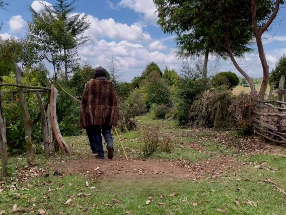 Video “Every living being depends on the trees” - Ogiek from Mau Forest in Kenya