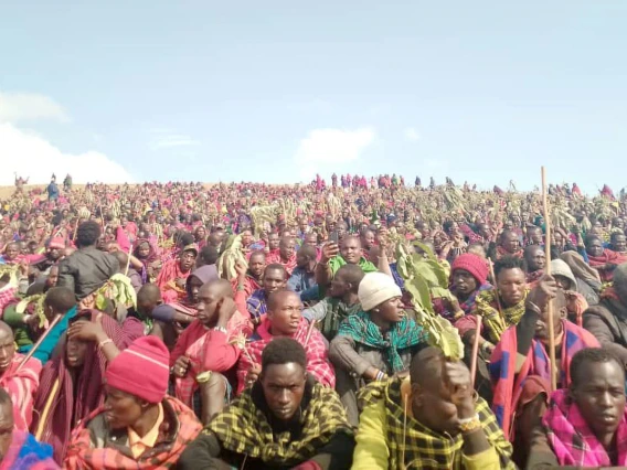 The Oakland Institute Calls on the Tanzanian Presidential Land Commissions to Respect & Ensure Rights of Maasai Living in the Ngorongoro Conservation Area