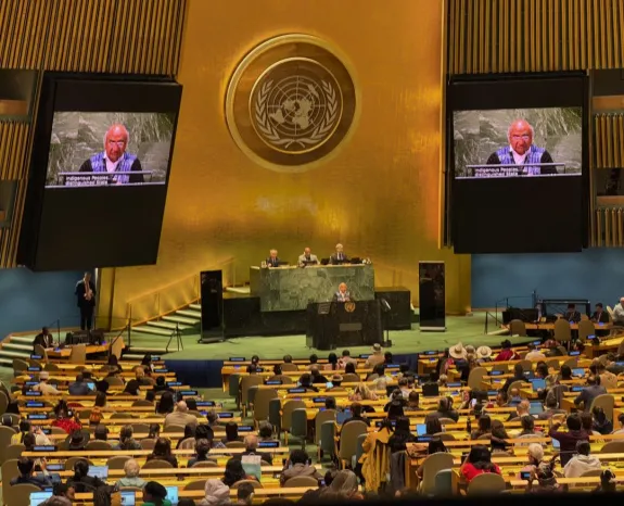 UNSRRIP in UN