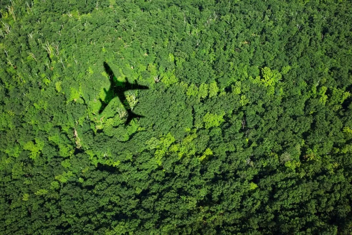 Tourism and Conservation photo