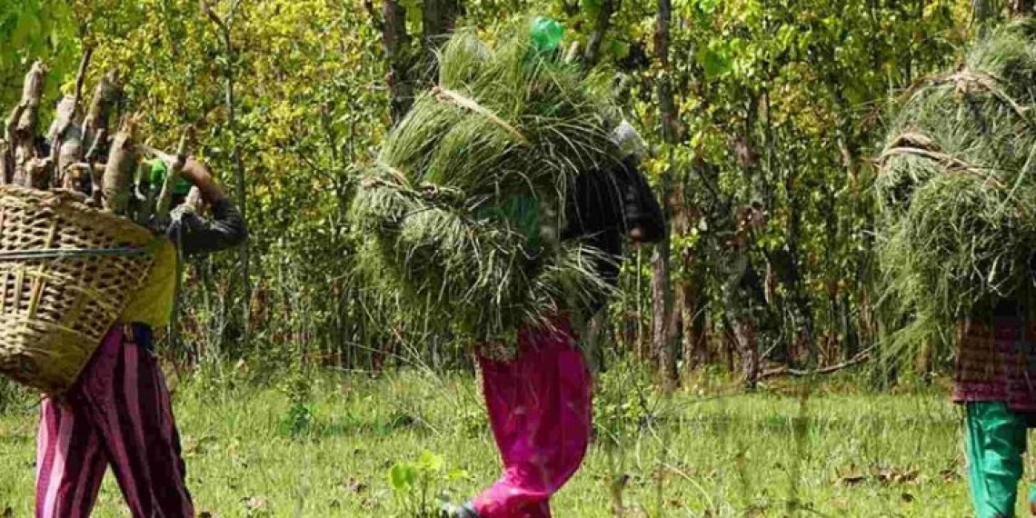 Kunming-Montreal Global Biodiversity Framework will destroy indigenous population, warns Suhas Chakma