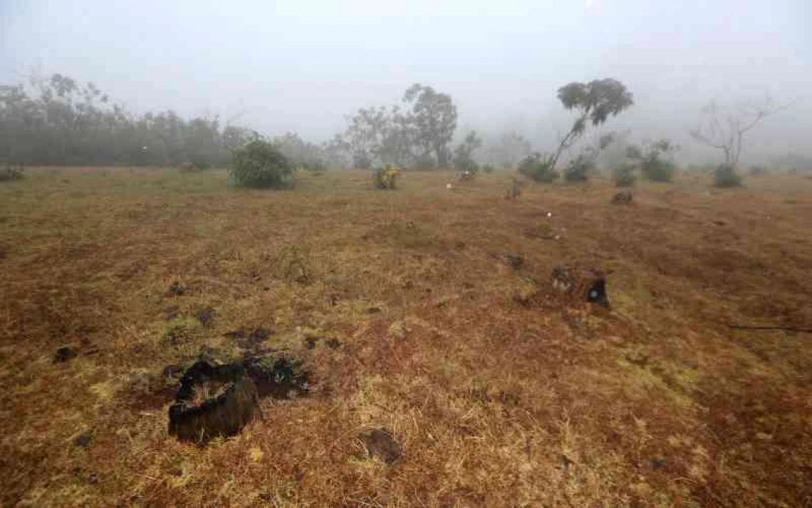 A Cleared section of Sabatia Forest in Eldma Ravine ,Baringo county on March 2,2018