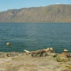 Kiptoo